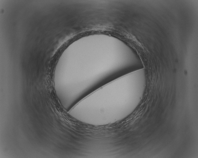X0000067391256200603310947