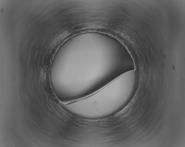 X0000067391257200603310947