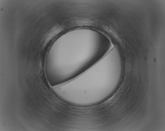 X0000067391261200603310946