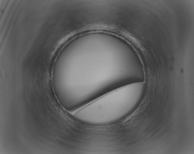 X0000067391264200603310946