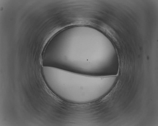 X0000067391276200603310946