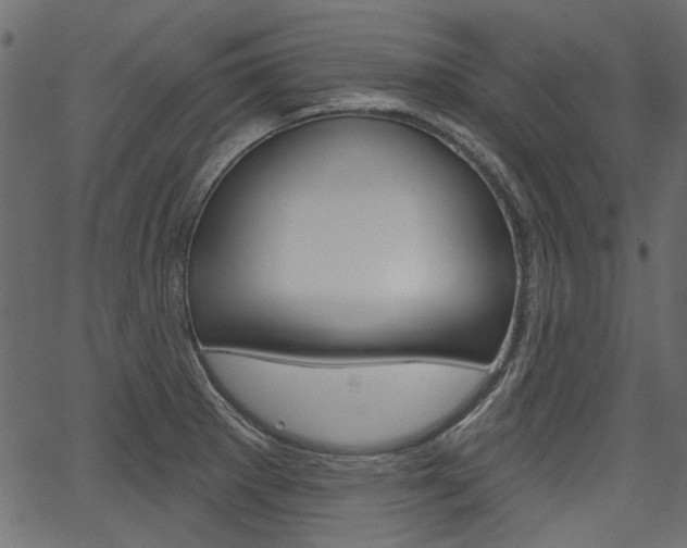 X0000067391281200603310946