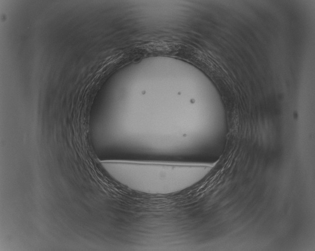 X0000067391297200603310945
