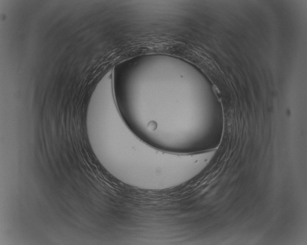 X0000067391298200603310945