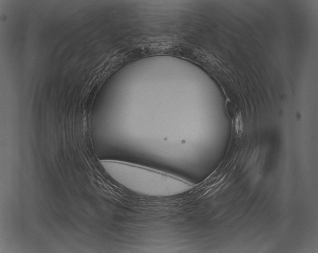 X0000067391299200603310945