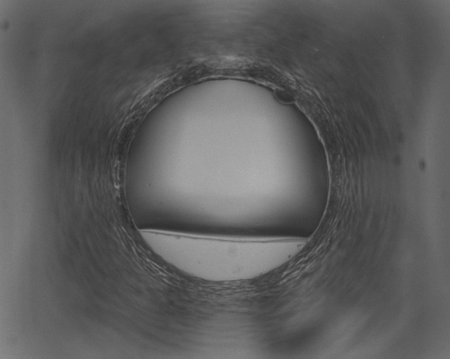 X0000067391301200603310945