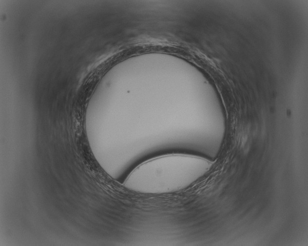X0000067391303200603310945