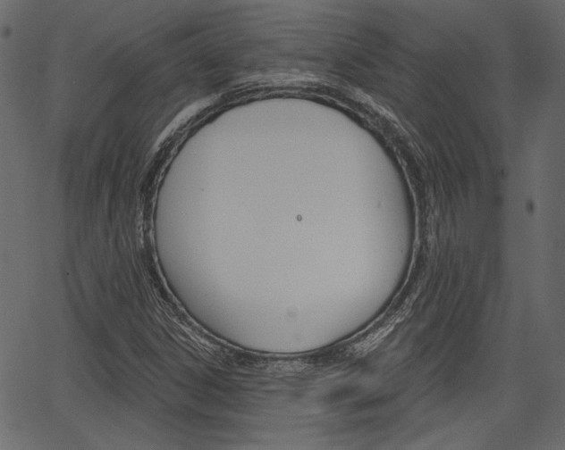 X0000067391306200603310945