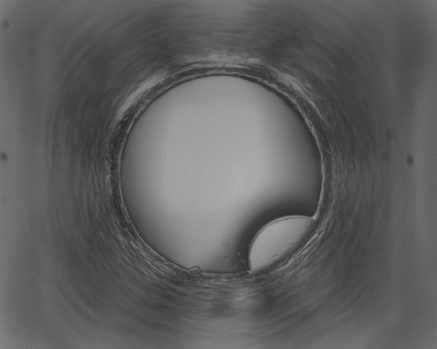 X0000067391307200603310945