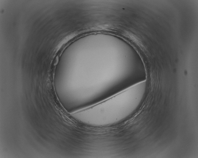 X0000067391308200603310945