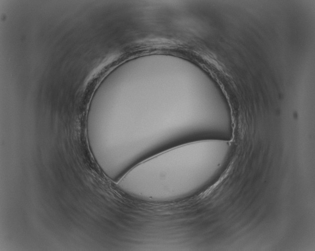 X0000067391309200603310945