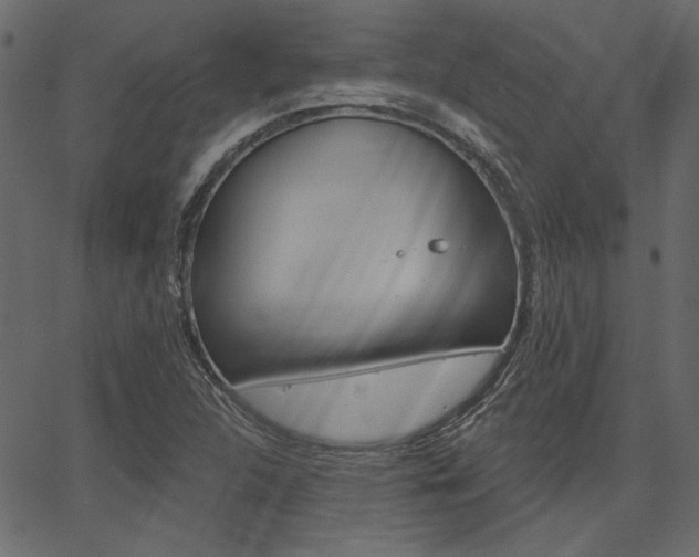 X0000067391312200603310945