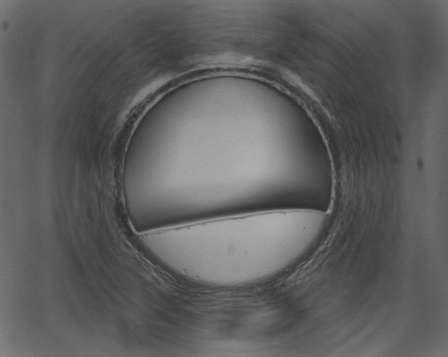X0000067391315200603310945