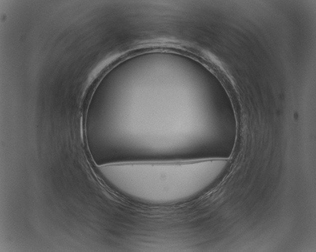 X0000067391320200603310945