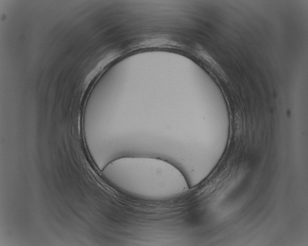 X0000067391322200603310945