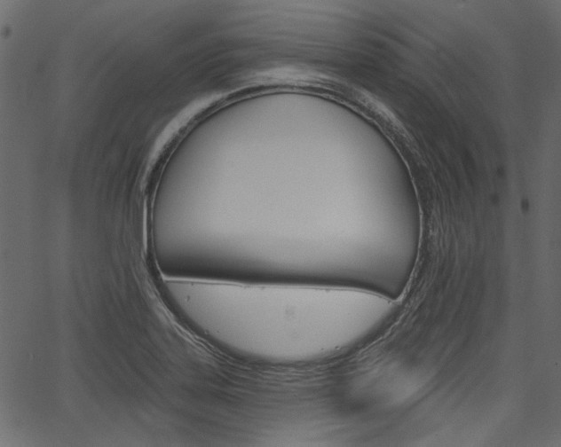X0000067391323200603310946