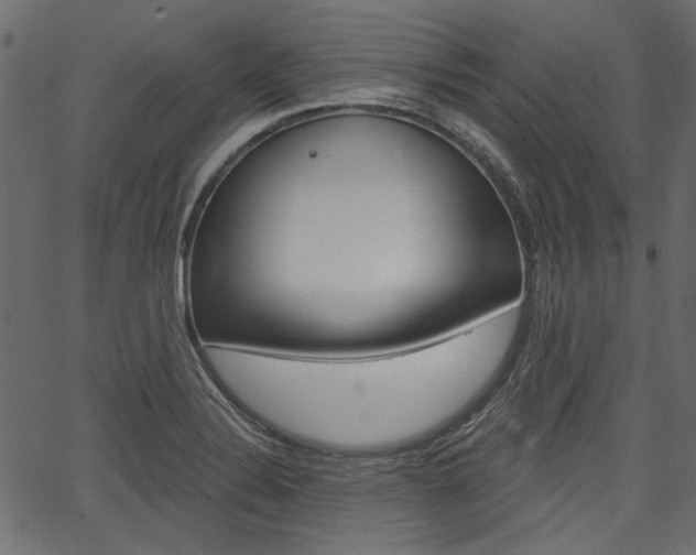 X0000067391324200603310946