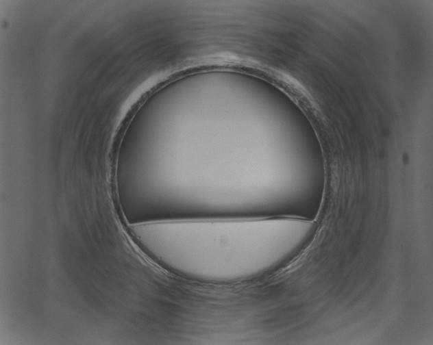 X0000067391326200603310946