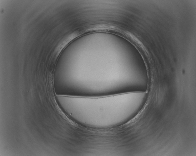 X0000067391329200603310946