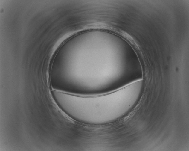 X0000067391334200603310946