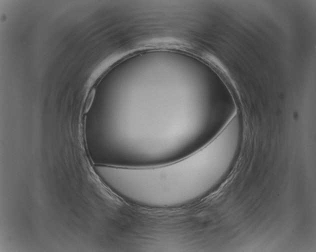 X0000067391336200603310946