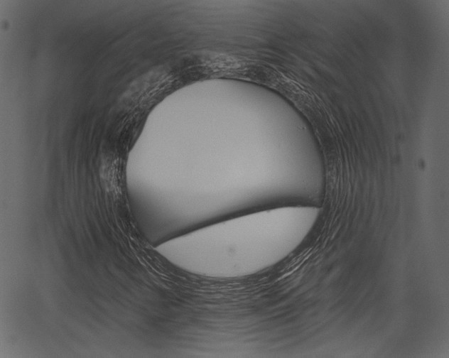 X0000067391346200603310945