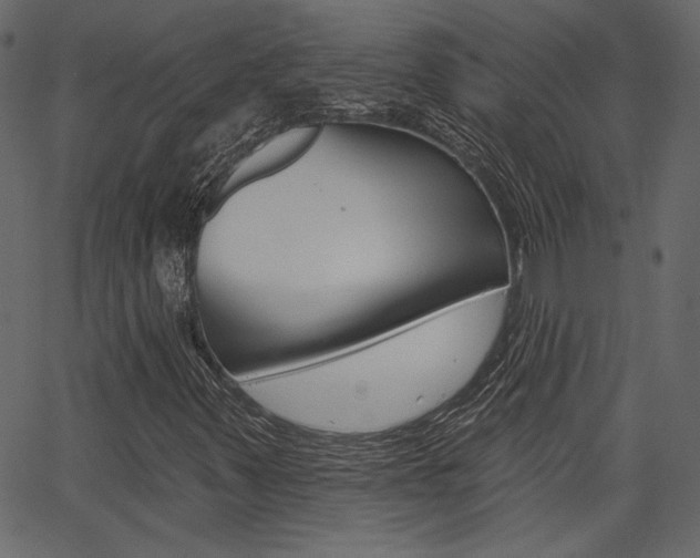 X0000067391347200603310945