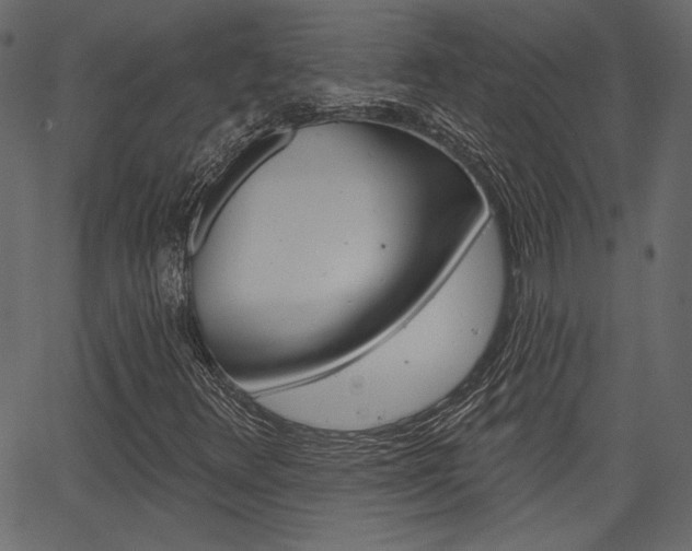 X0000067391348200603310945