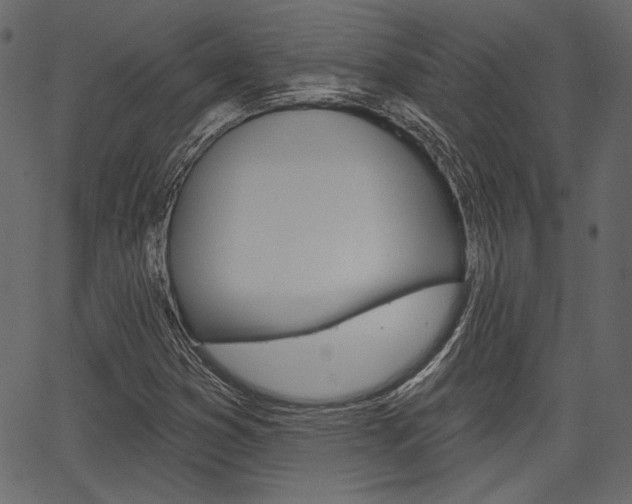 X0000067391353200603310945