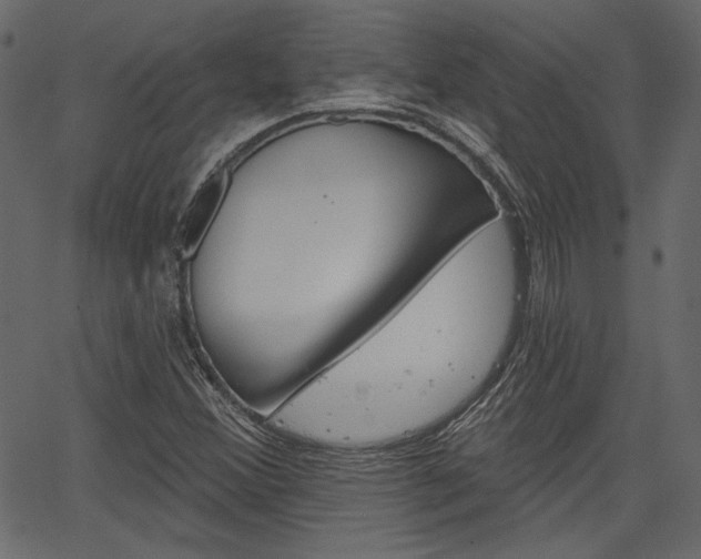 X0000067391356200603310945