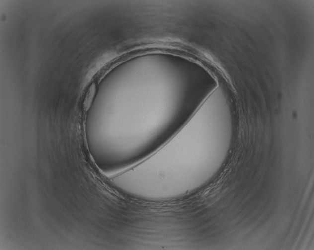 X0000067391360200603310945