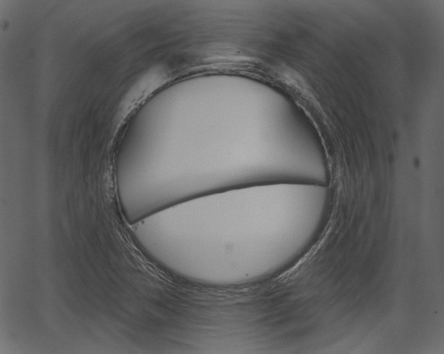 X0000067391362200603310945