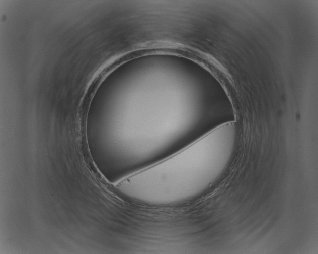 X0000067391364200603310945