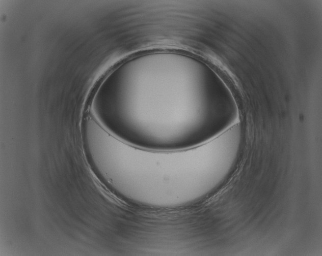 X0000067391372200603310945