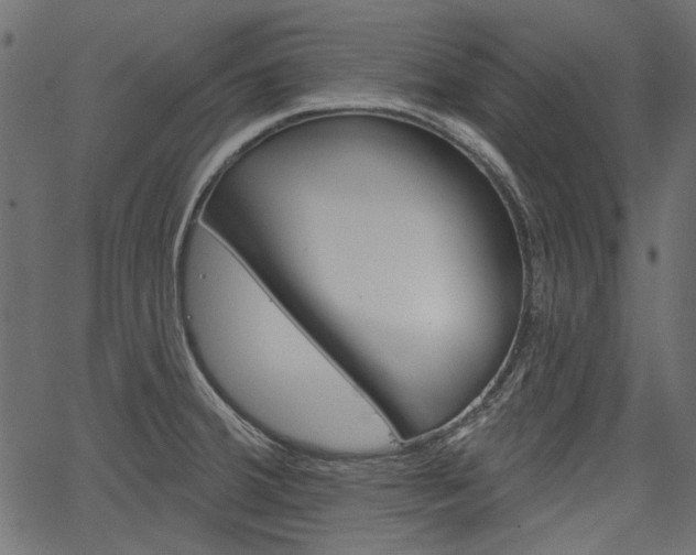 X0000067391380200603310945