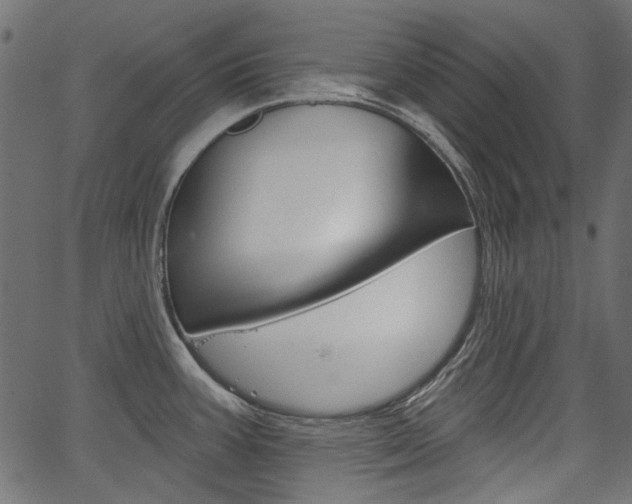 X0000067391387200603310944