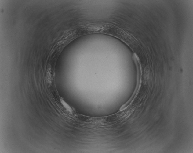 X0000067391394200603310944