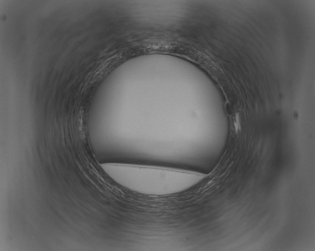X0000067391396200603310944