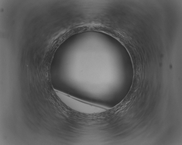 X0000067391398200603310944