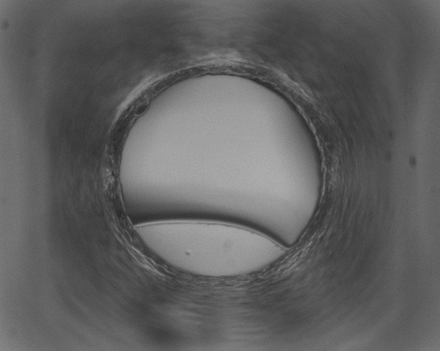 X0000067391400200603310944