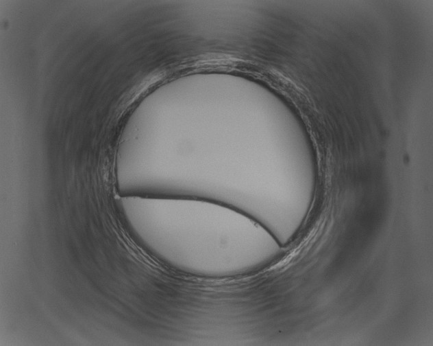 X0000067391401200603310944