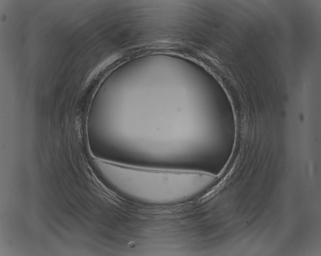 X0000067391402200603310944