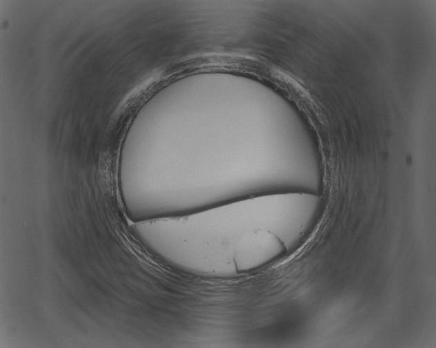 X0000067391403200603310944