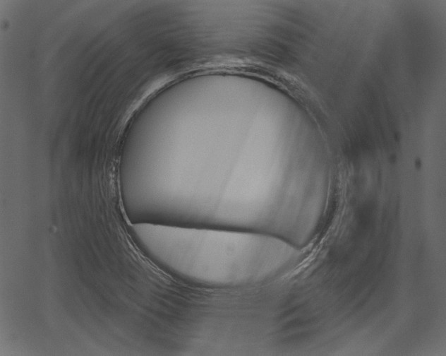X0000067391409200603310944