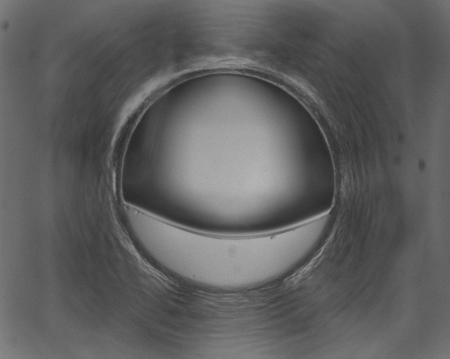 X0000067391414200603310944