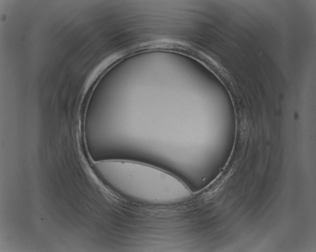 X0000067391418200603310944