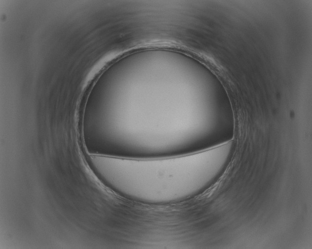 X0000067391422200603310944