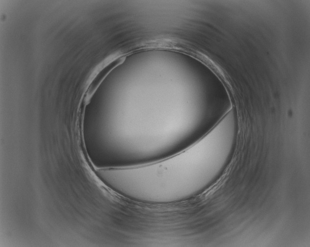 X0000067391434200603310944