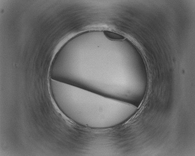 X0000067391440200603310944