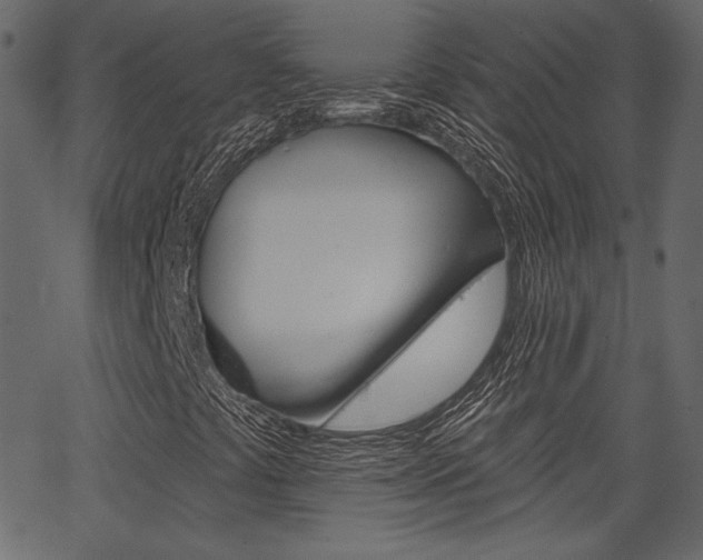 X0000067391441200603310944
